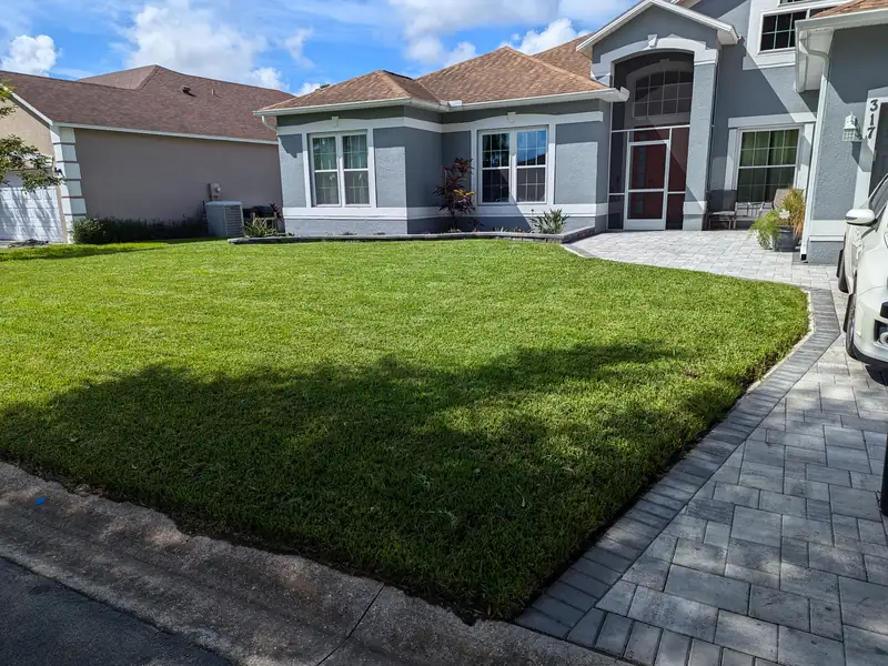 Front lawn cut and edged around a palm and walkway