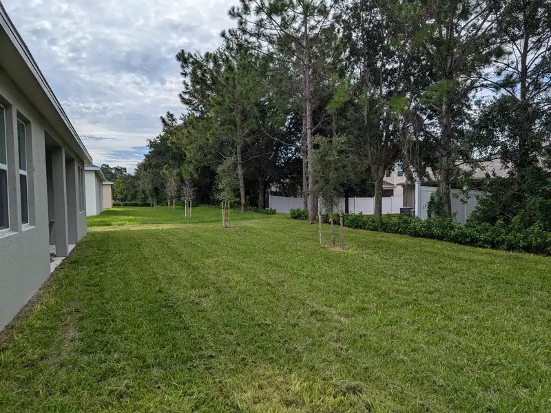 Street-length lawn cut in even stripes under mature trees